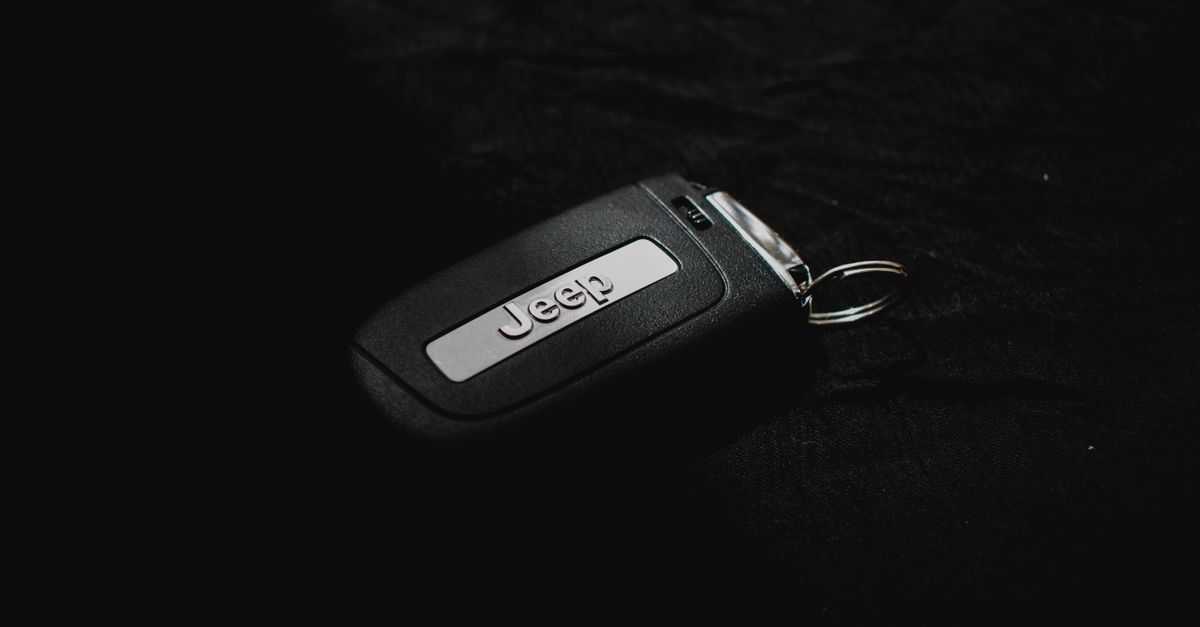 Ford car key fob — מנעולן ברמת גן